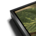 Thumbnail image 11 for Layers of Green - Maui, Hawaii