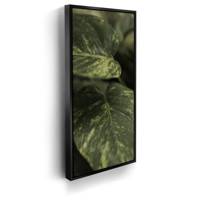 Featured image 5 for Layers of Green - Maui, Hawaii