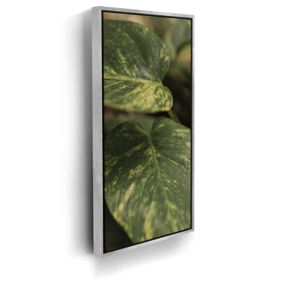 Featured image 8 for Layers of Green - Maui, Hawaii