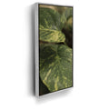 Featured image 8 for Layers of Green - Maui, Hawaii