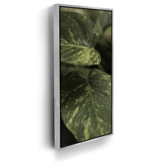 Featured image 8 for Layers of Green - Maui, Hawaii