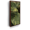 Featured image 10 for Layers of Green - Maui, Hawaii