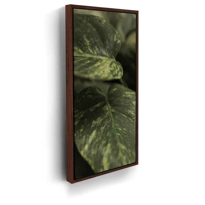 Featured image 10 for Layers of Green - Maui, Hawaii