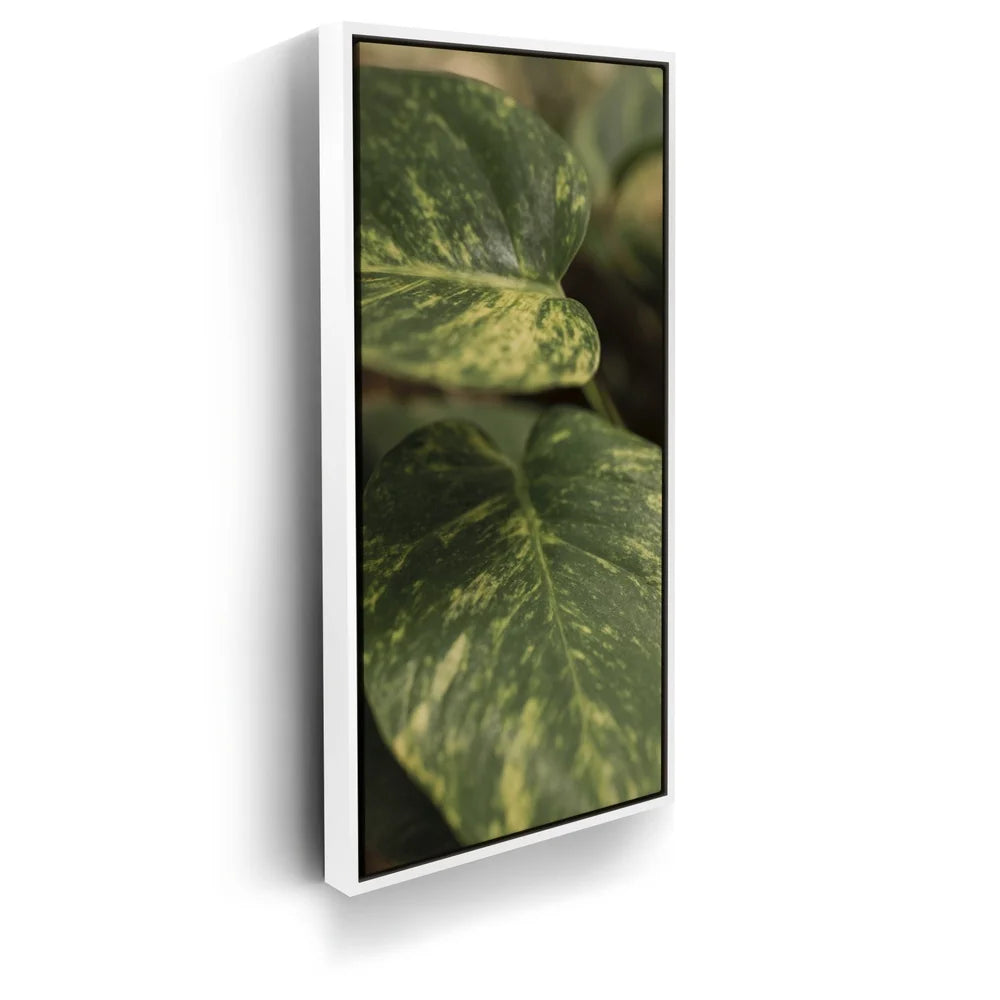 Featured image 6 for Layers of Green - Maui, Hawaii
