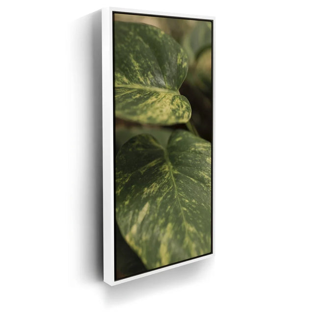Featured image 6 for Layers of Green - Maui, Hawaii