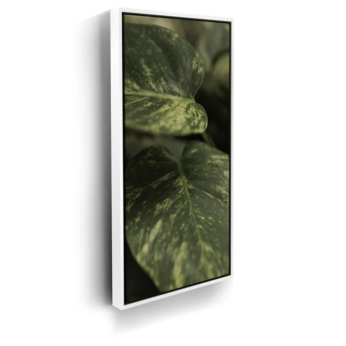 Featured image 6 for Layers of Green - Maui, Hawaii