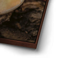 Thumbnail image 14 for Laying Plumeria, Maui