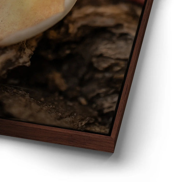 Featured image 14 for Laying Plumeria, Maui