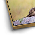 Thumbnail image 12 for Leopard In Gentle Rain Tanzania