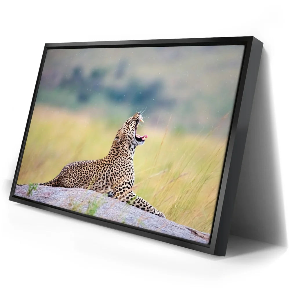 Featured image 2 for Leopard In Gentle Rain Tanzania