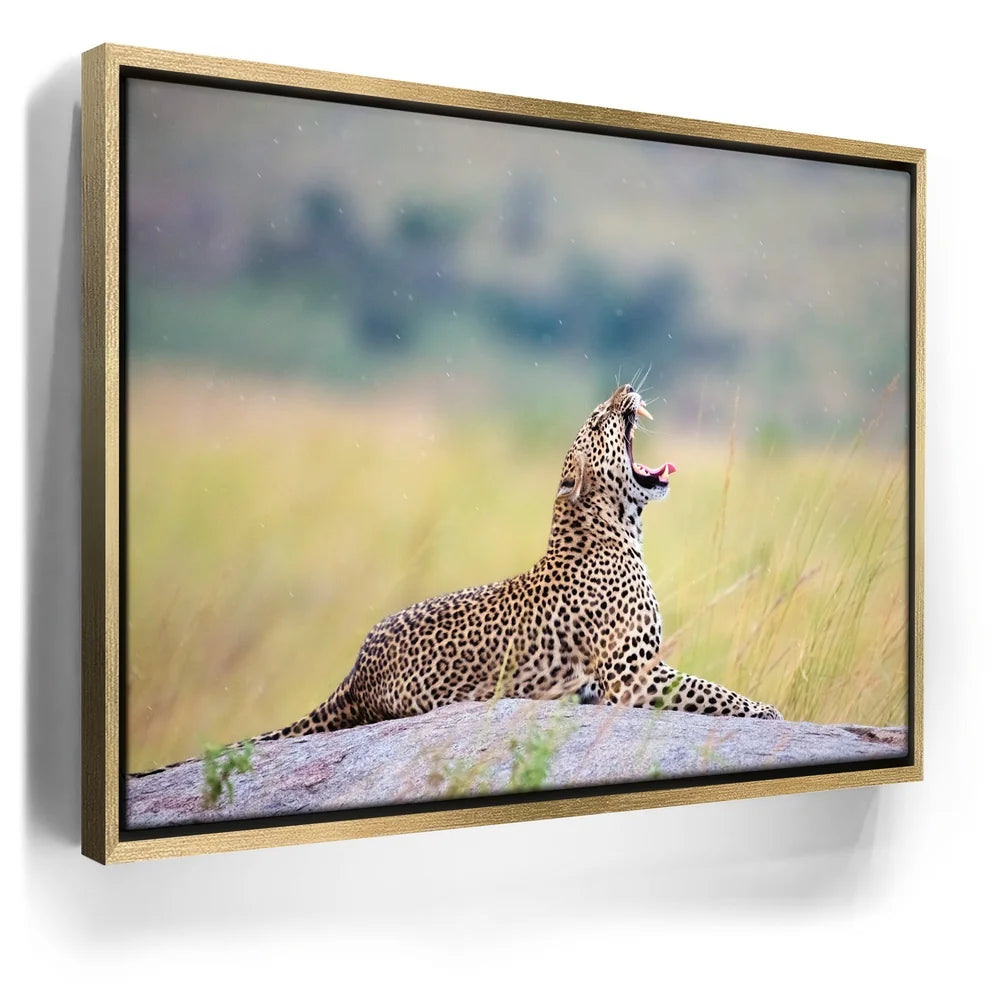 Featured image 7 for Leopard In Gentle Rain Tanzania
