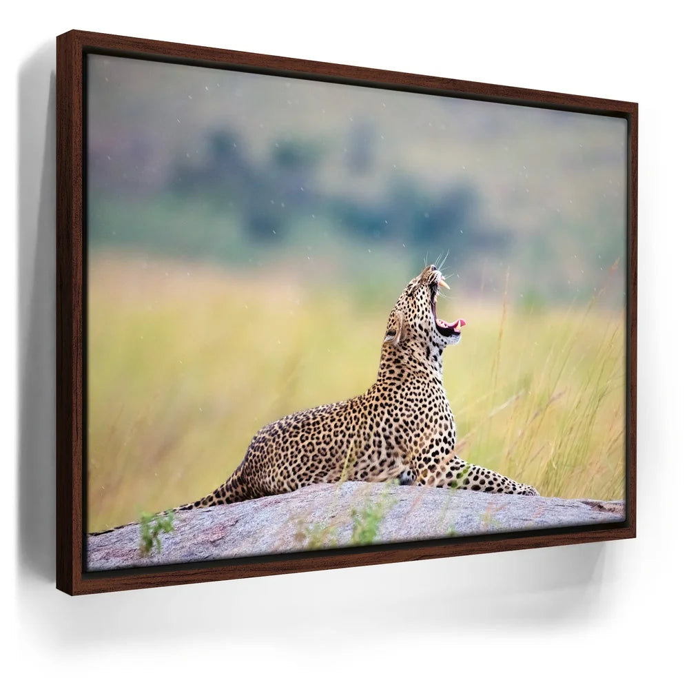 Featured image 10 for Leopard In Gentle Rain Tanzania