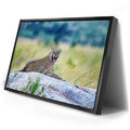 Thumbnail image 2 for Leopard On Rock Tanzania