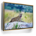 Featured image 7 for Leopard On Rock Tanzania