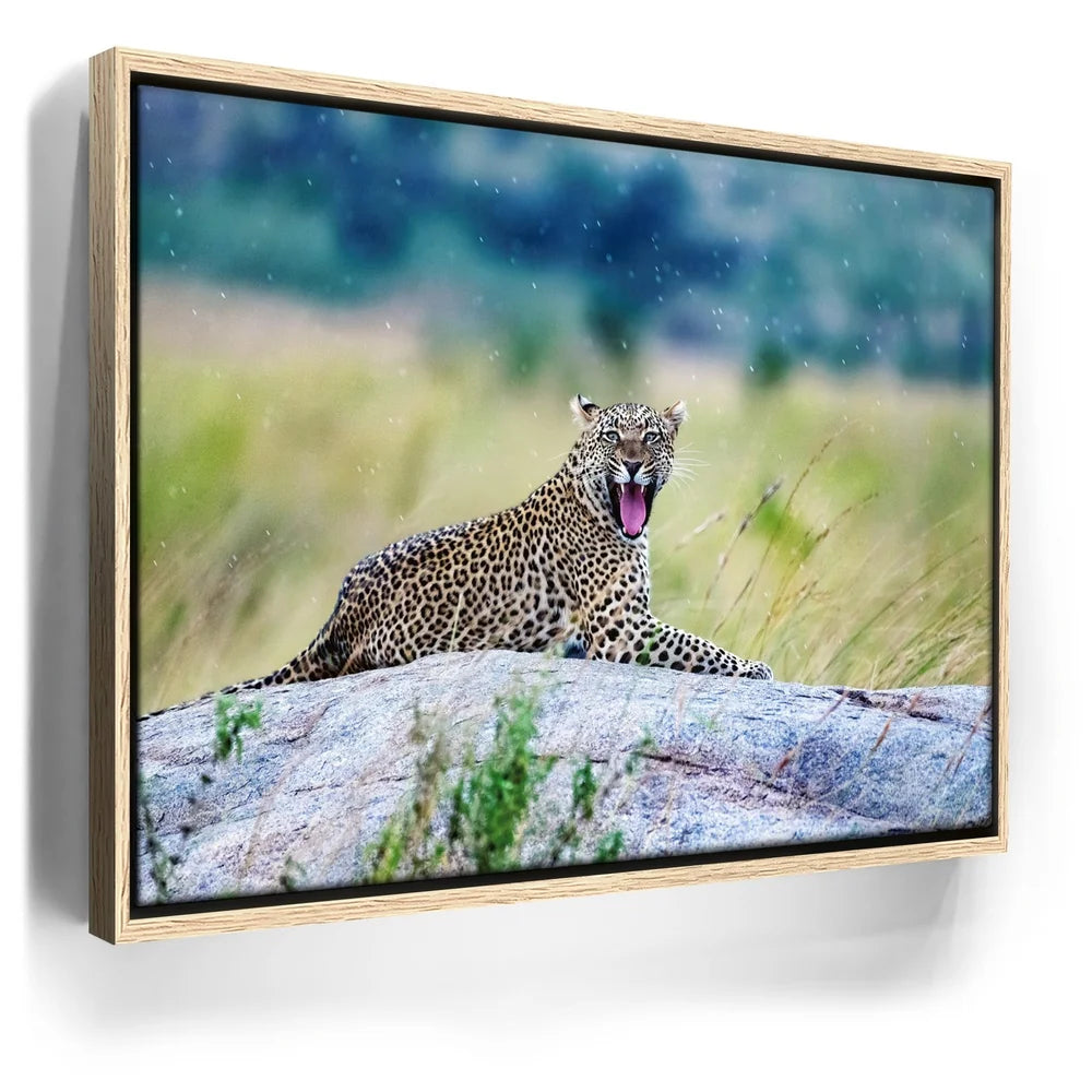 Featured image 9 for Leopard On Rock Tanzania