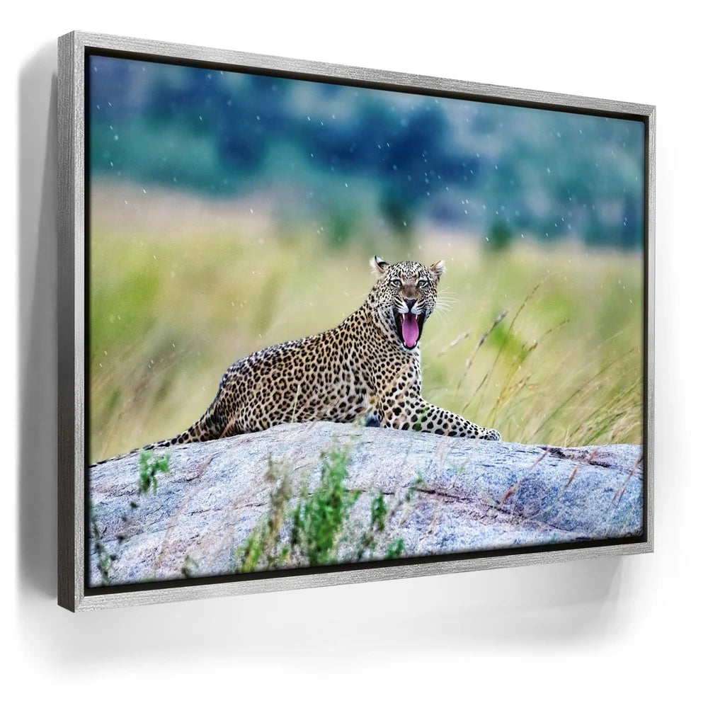 Featured image 8 for Leopard On Rock Tanzania