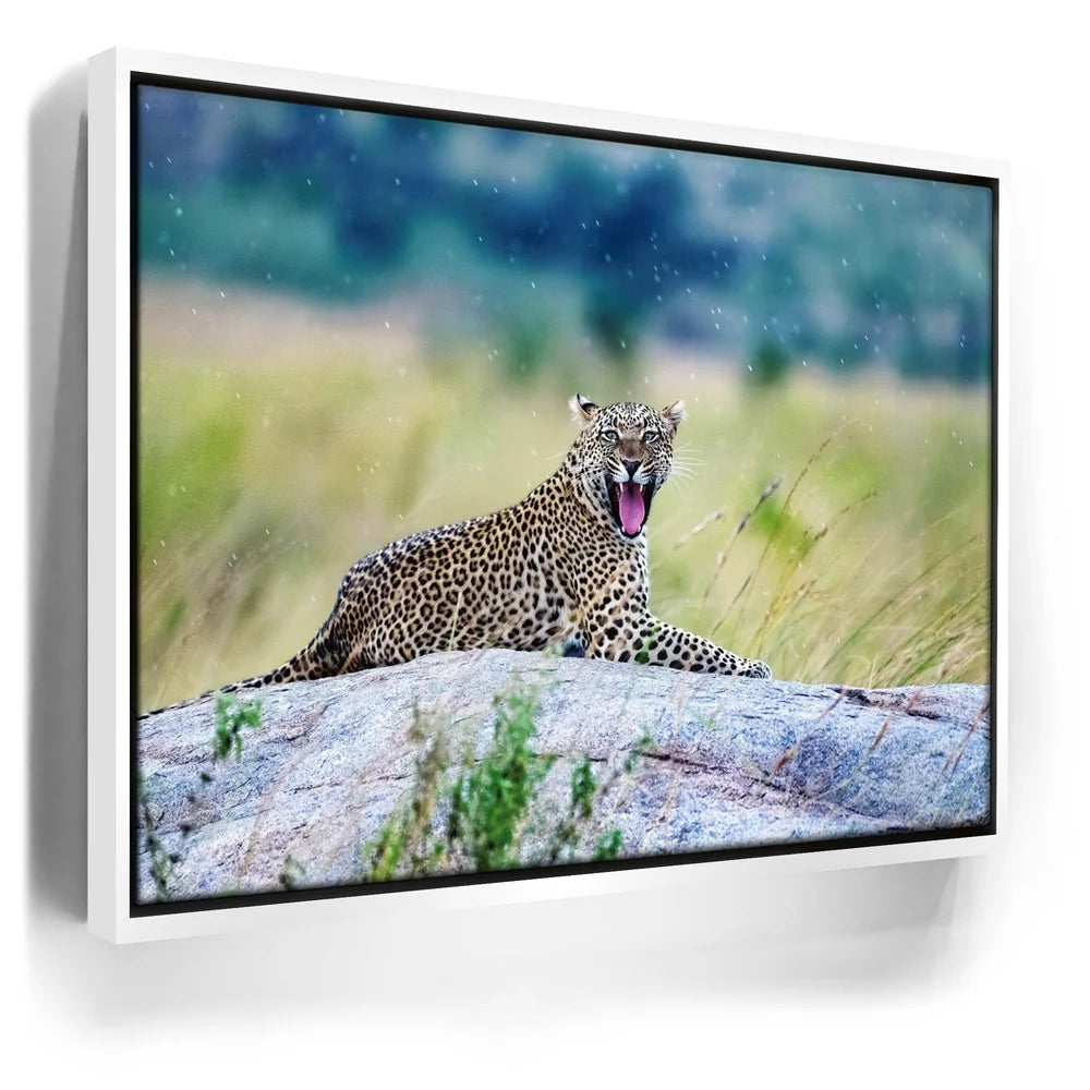 Featured image 6 for Leopard On Rock Tanzania