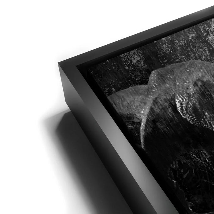 Featured image 13 for Life Finds A Way - Black & White