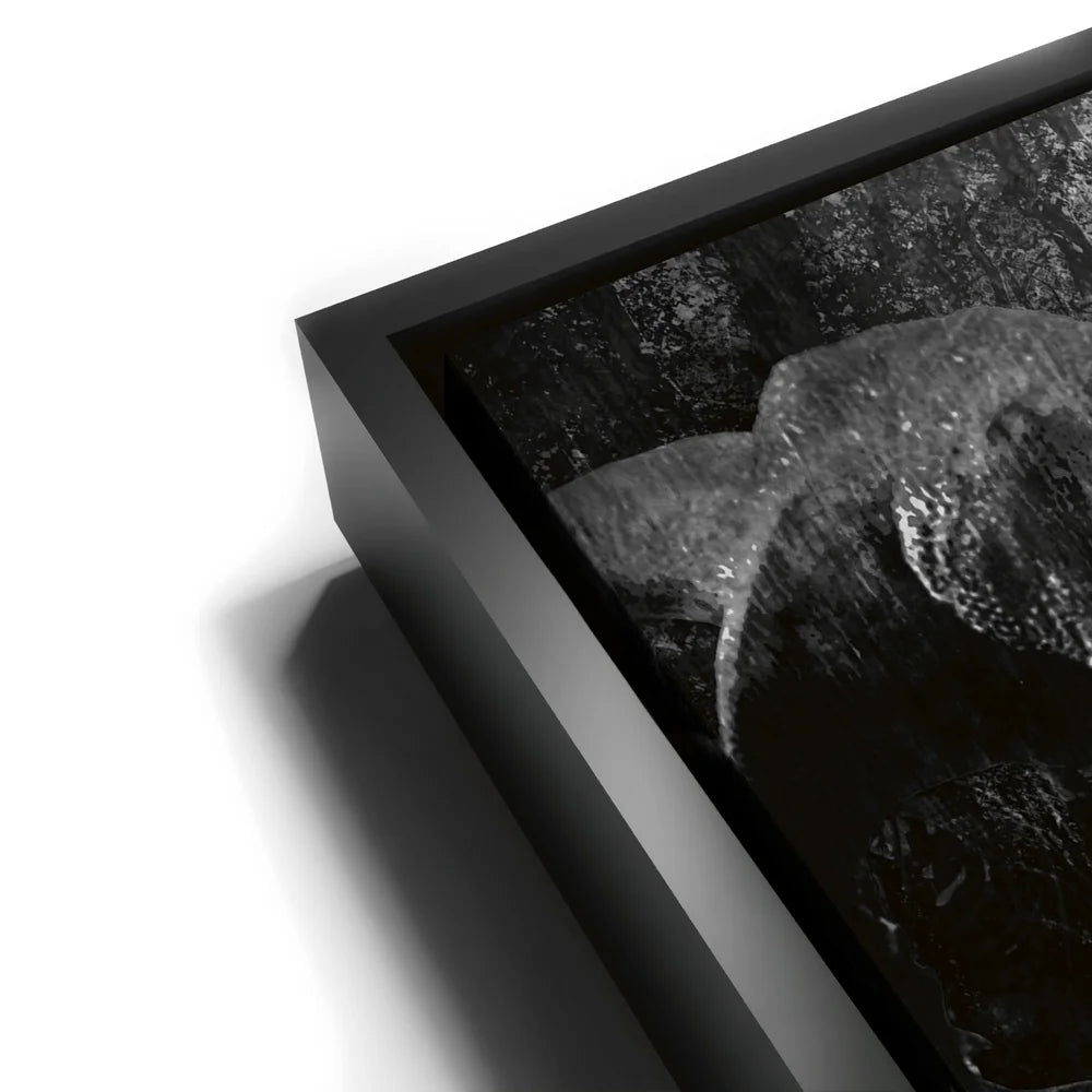 Featured image 11 for Life Finds A Way - Black & White