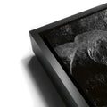 Thumbnail image 11 for Life Finds A Way - Black & White