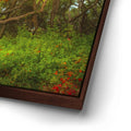 Thumbnail image 14 for Light Of The Ancient Oak