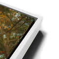 Thumbnail image 13 for Light Of The Ancient Oak