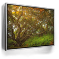 Featured image 8 for Light Of The Ancient Oak