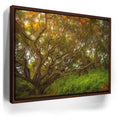 Featured image 10 for Light Of The Ancient Oak