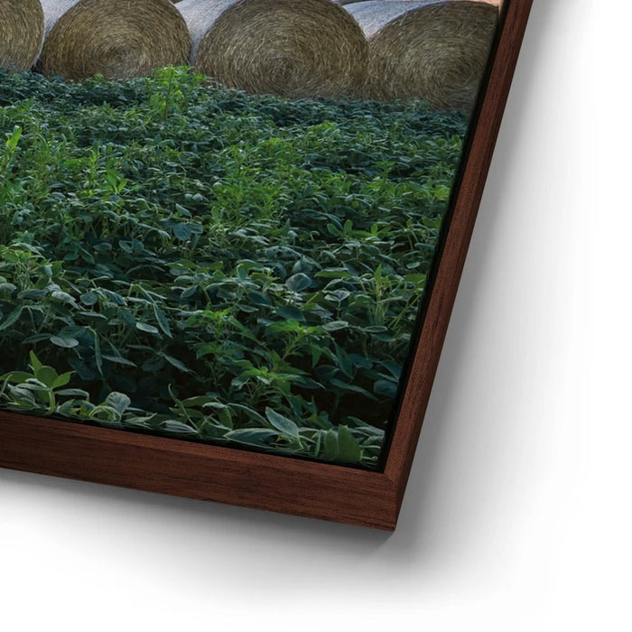 Featured image 14 for Lineup