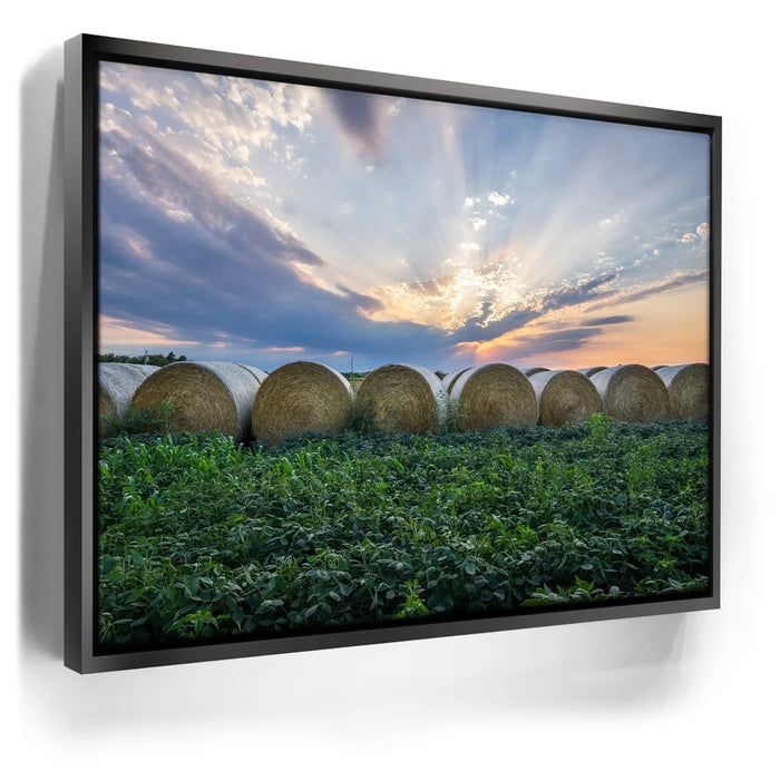 Featured image 5 for Lineup