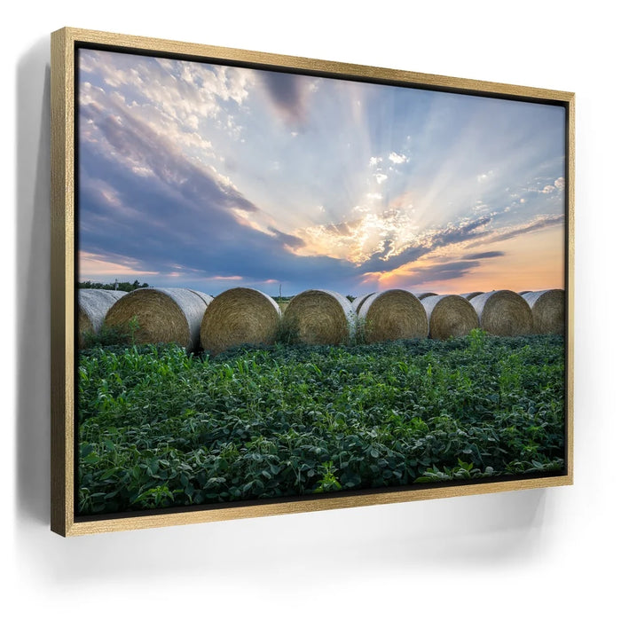 Featured image 7 for Lineup