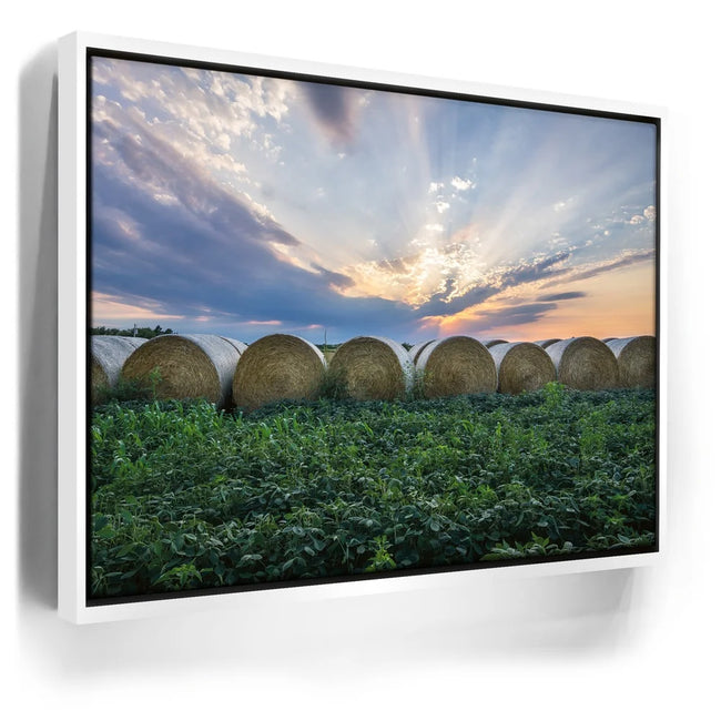 Featured image 6 for Lineup