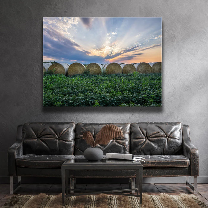 Featured image 2 for Lineup