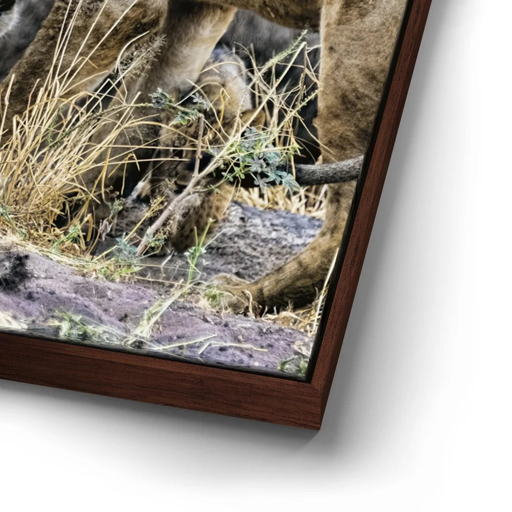 Featured image 14 for Lions With Cub Tanzania