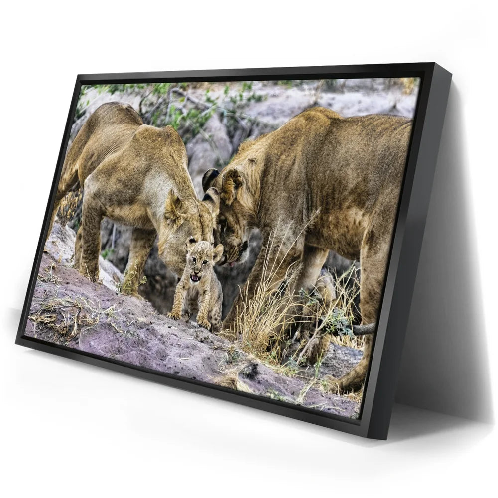 Featured image 2 for Lions With Cub Tanzania