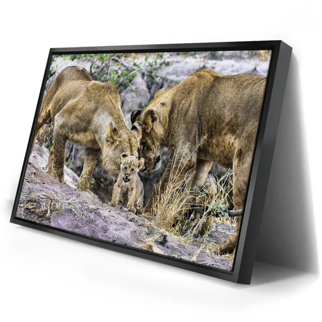 Featured image 2 for Lions With Cub Tanzania