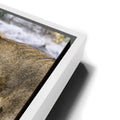 Thumbnail image 13 for Lions With Cub Tanzania