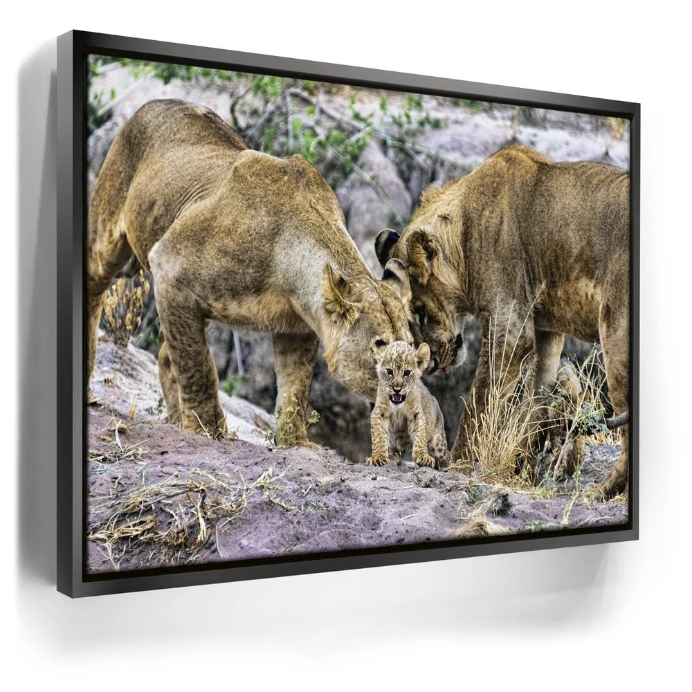 Featured image 5 for Lions With Cub Tanzania