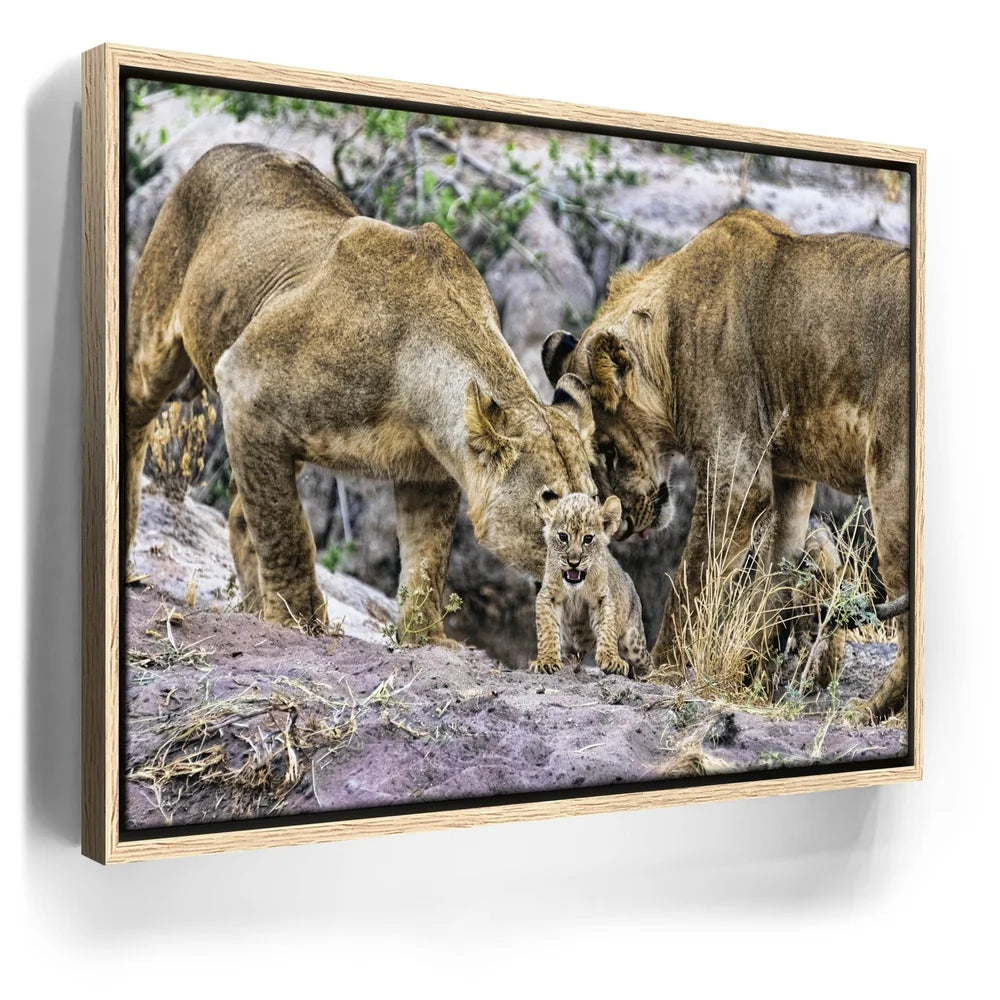 Featured image 9 for Lions With Cub Tanzania