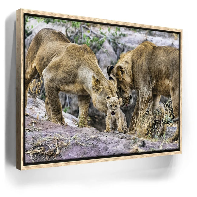 Featured image 9 for Lions With Cub Tanzania
