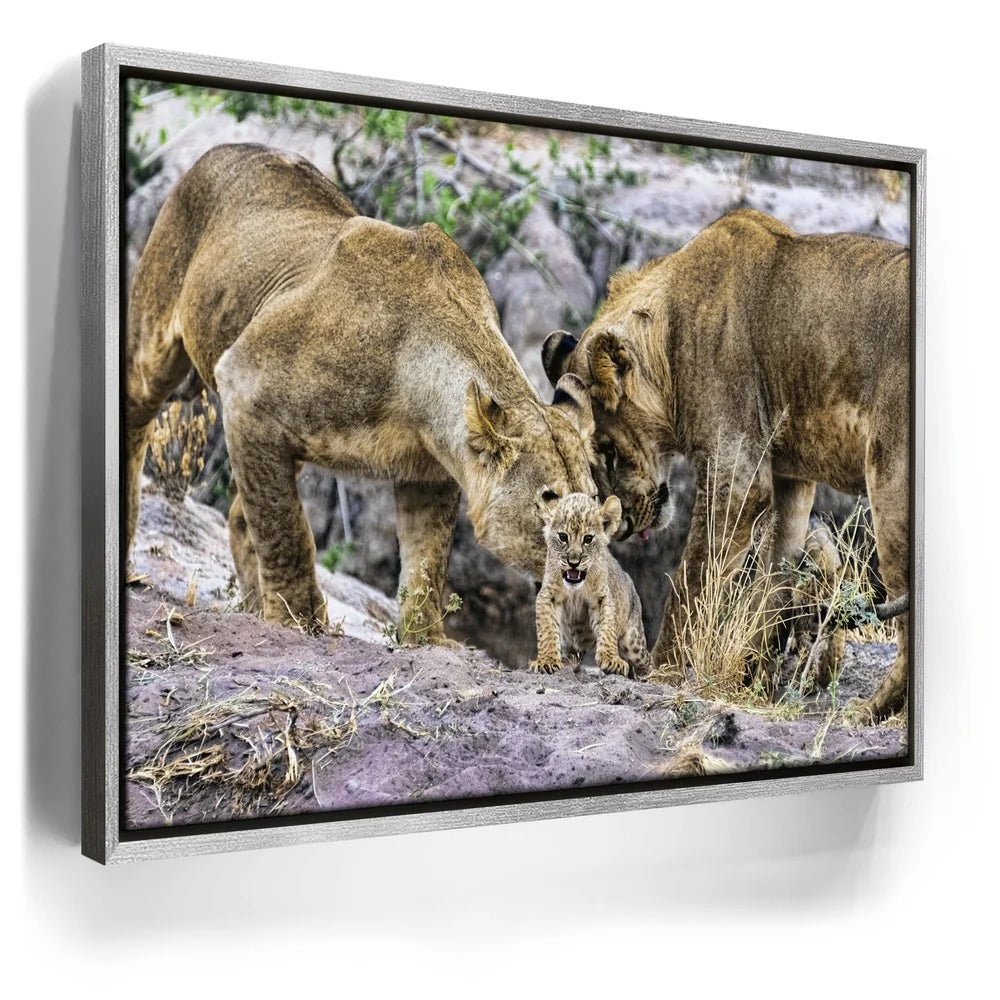 Featured image 8 for Lions With Cub Tanzania