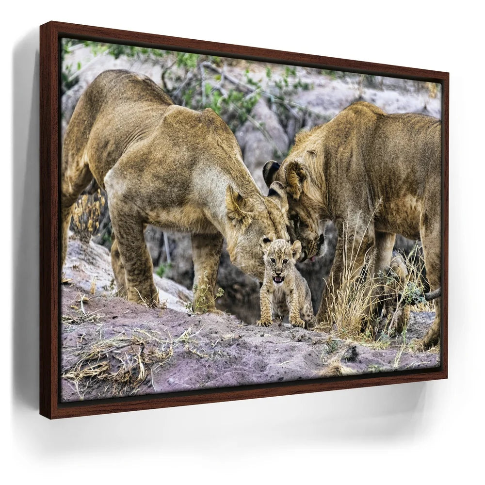 Featured image 10 for Lions With Cub Tanzania