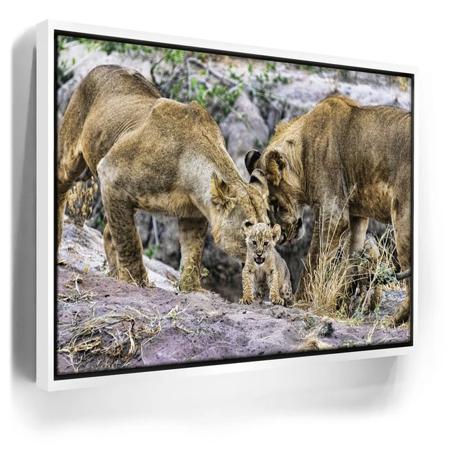 Featured image 6 for Lions With Cub Tanzania
