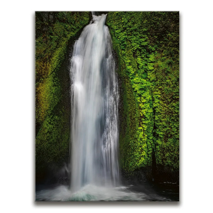 Featured image 1 for Liquid Portal