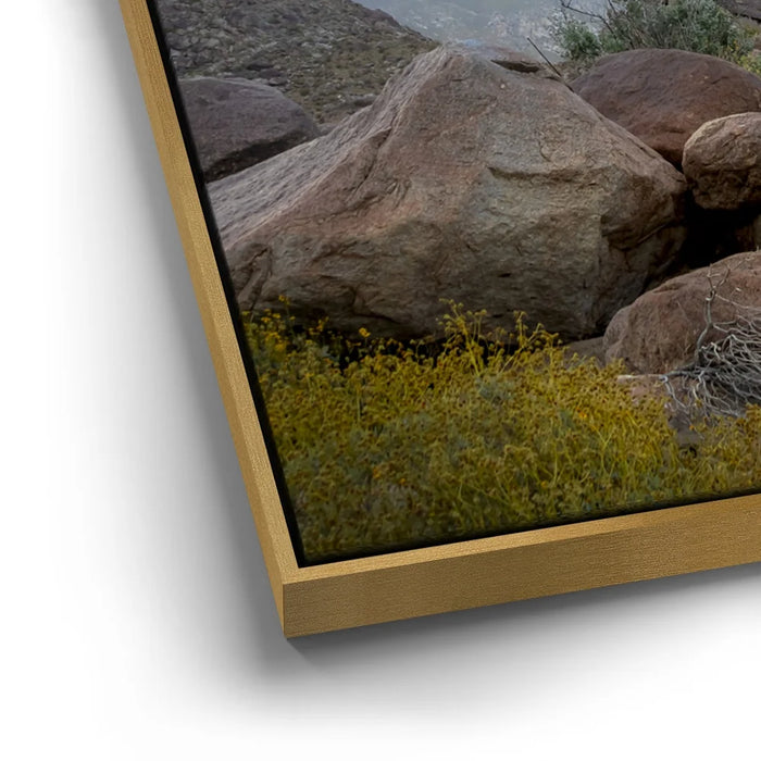 Featured image 12 for Listen to the Silence