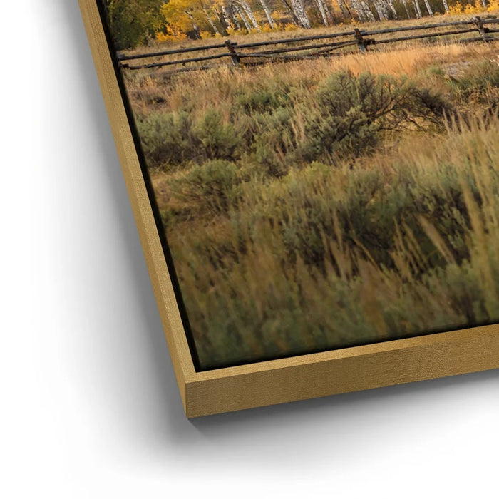 Featured image 12 for Little Mountain Church, Grand Tetons