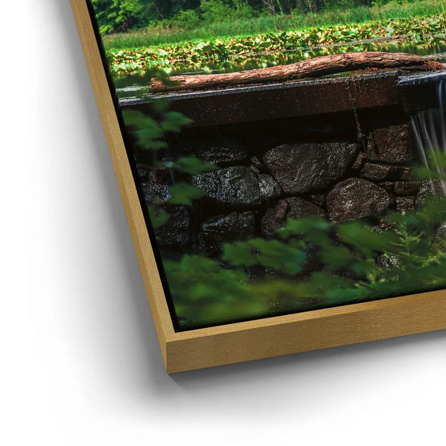 Featured image 12 for Little Waterfall