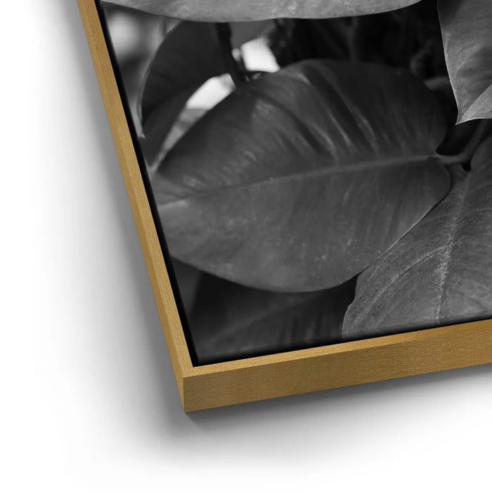 Featured image 12 for Living In The Leaves - Maui, HI