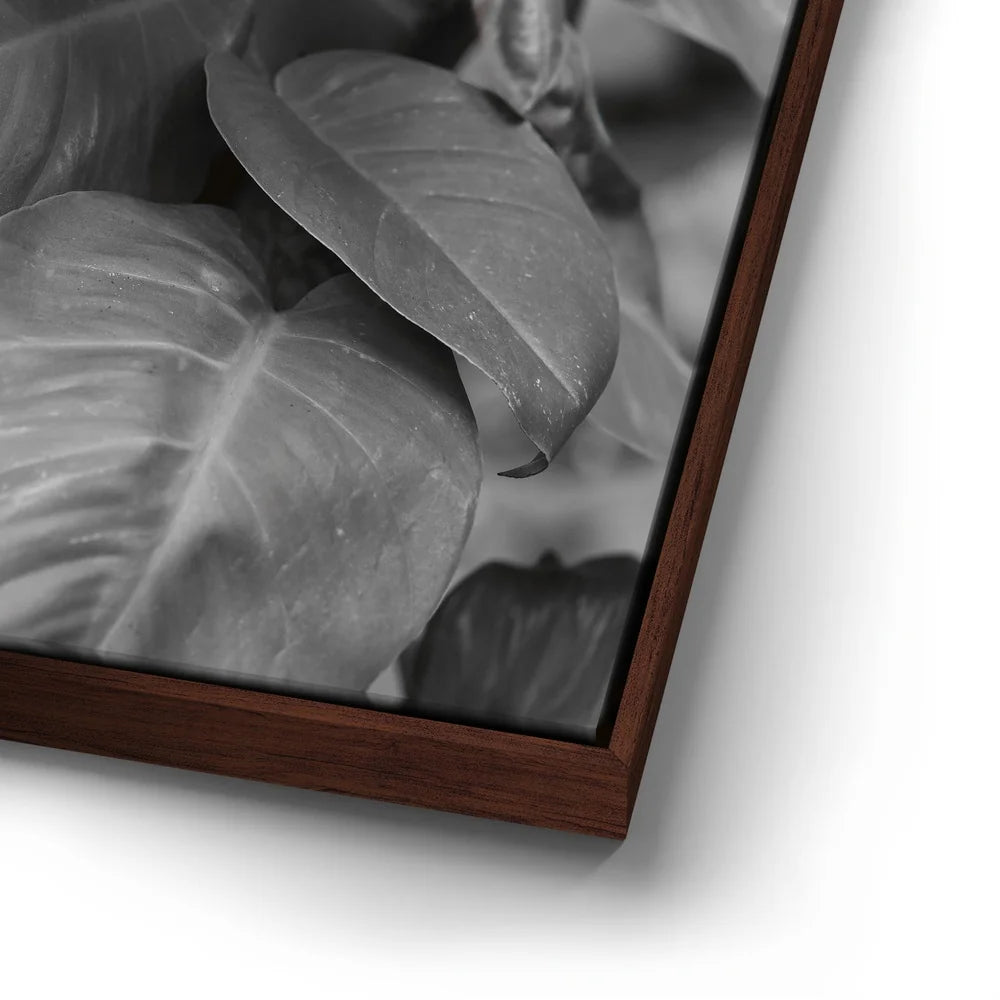 Featured image 14 for Living In The Leaves - Maui, HI