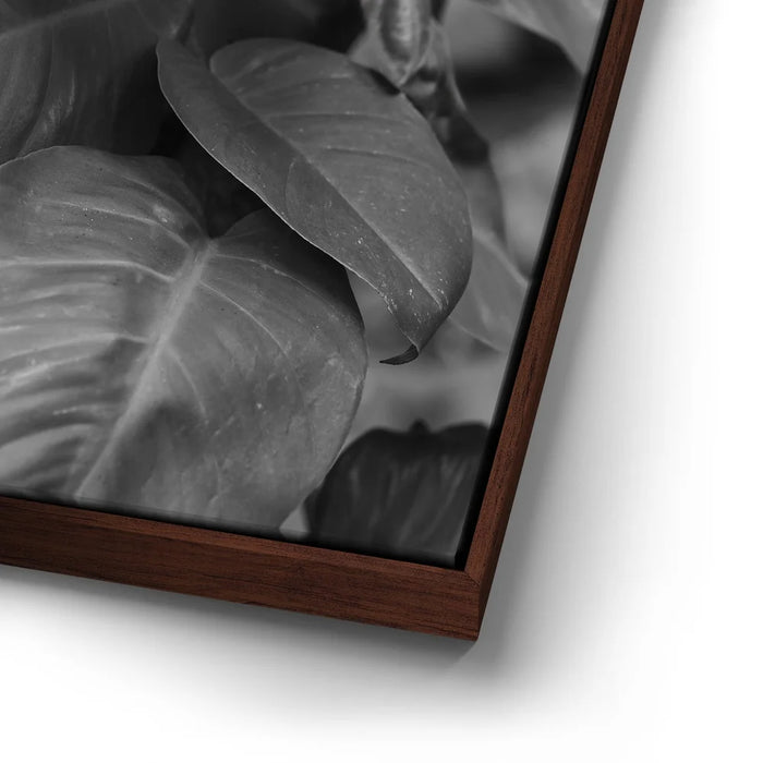 Featured image 13 for Living In The Leaves - Maui, HI